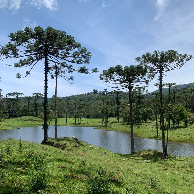 vale dos veados serra da bocaina