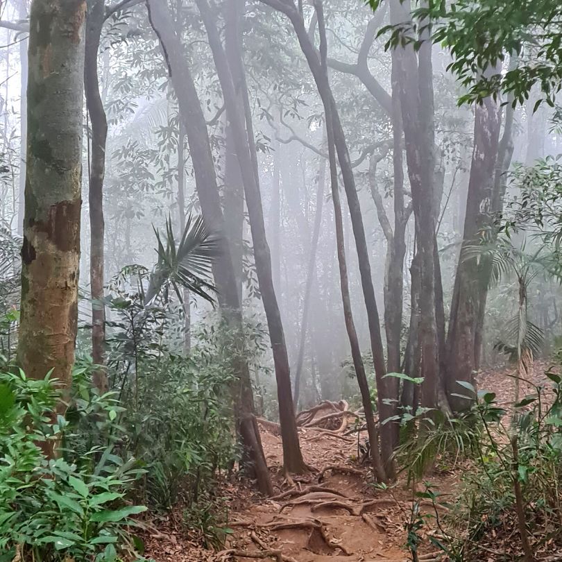 trilha da pedra da gávea