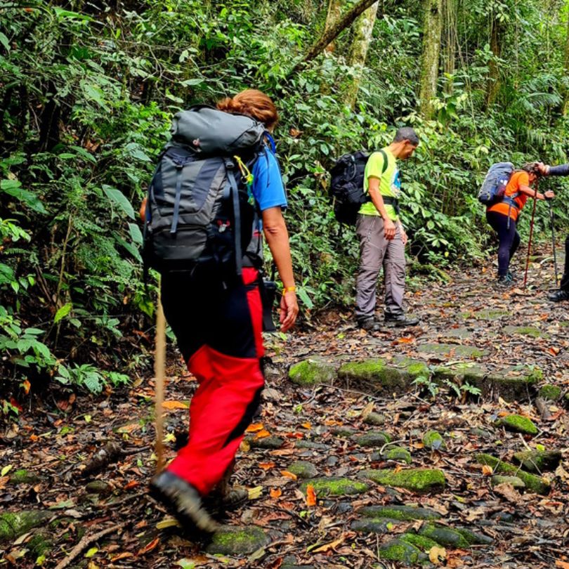 caminho-do-ouro-cs-experience-06