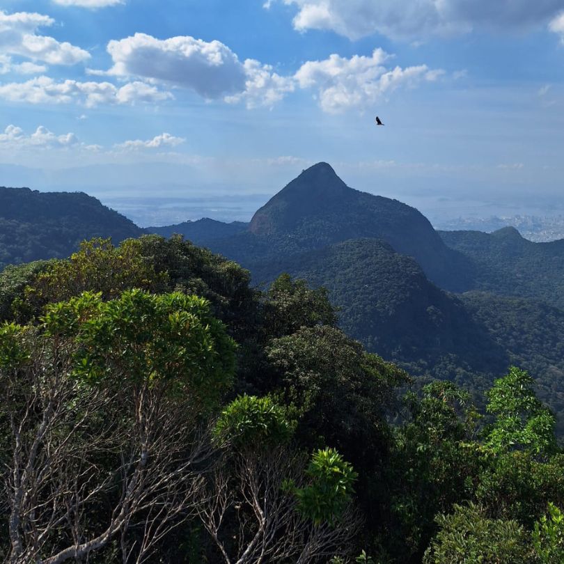 cs-experience-pico-da-tijuca-03