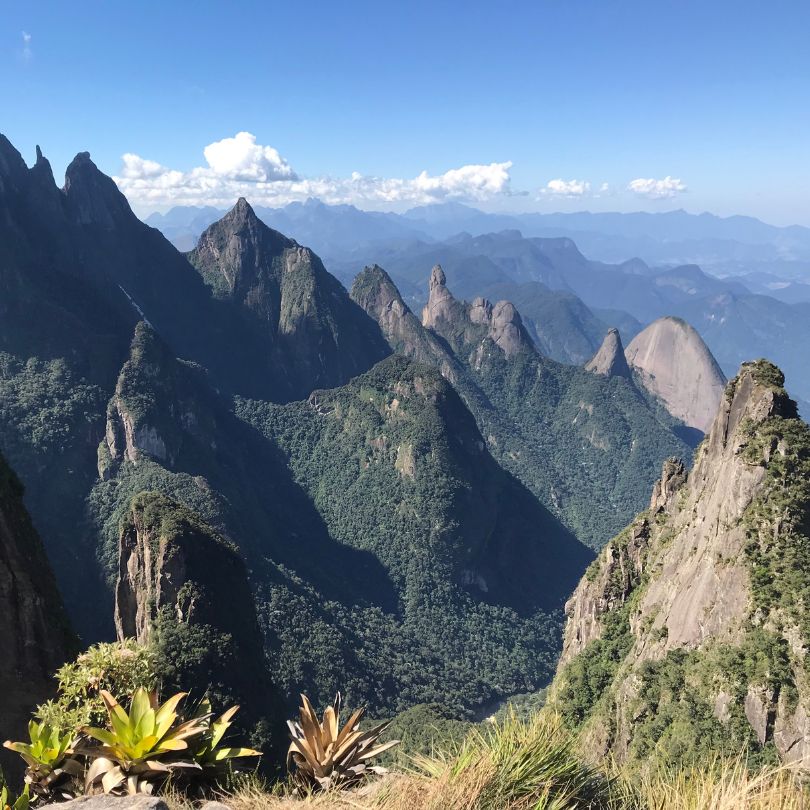 vista dos portais