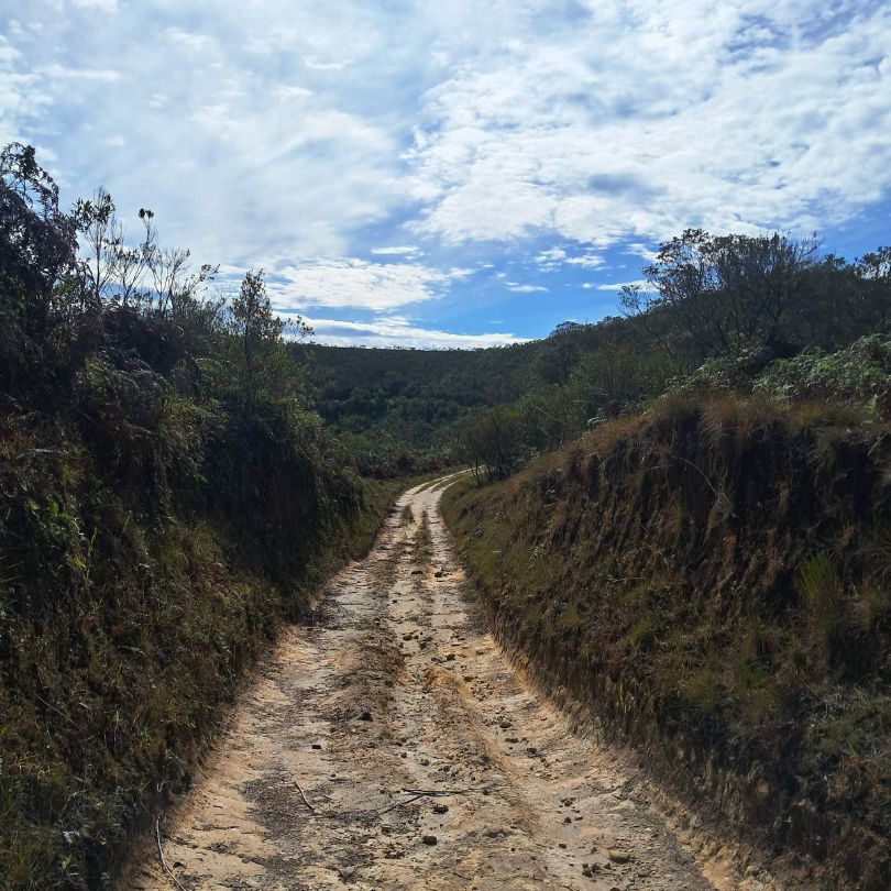 caminho na trilha do ouro serra da bocaina