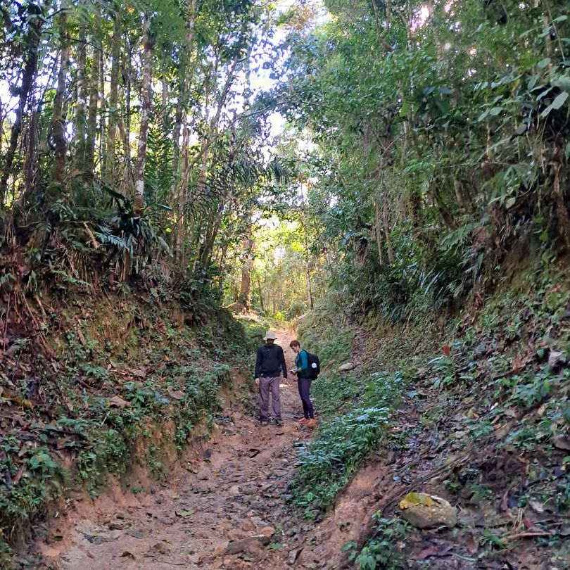 caminho centenario trilha do ouro