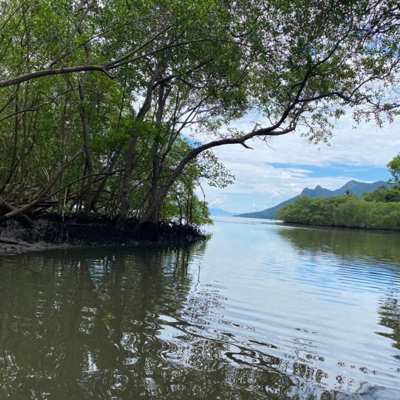 vista do mangue